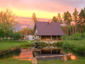 Отель Guest House Ziedkalni  Думеле